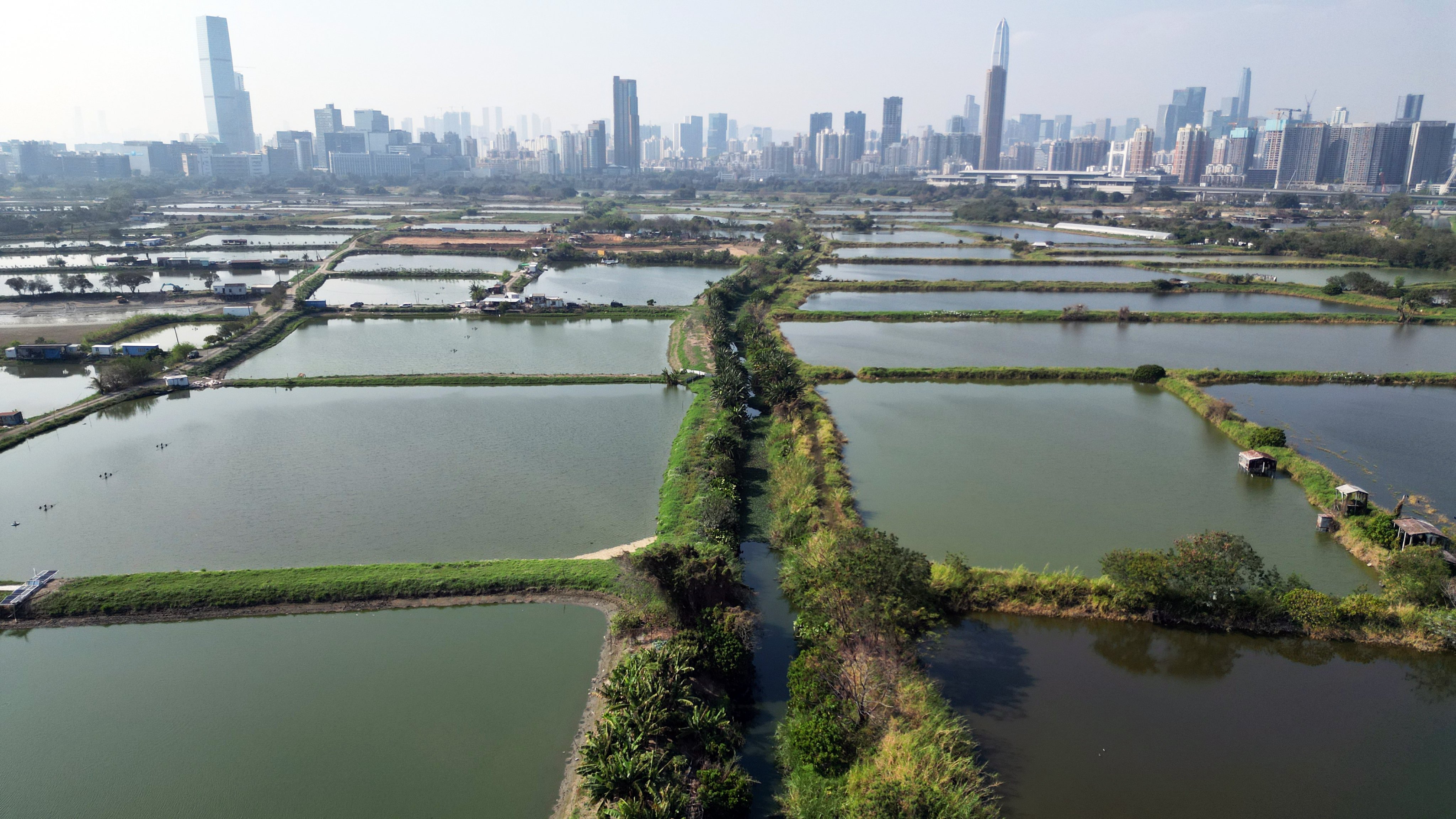 Hong Kong start-up Alcarbo Technologies, which is among the finalists of the 2025 EQT Impact Challenge, is cultivating outdoor algae strains in Yuen Long, in western New Territories, to tackle rising carbon dioxide emissions. Photo: May Tse